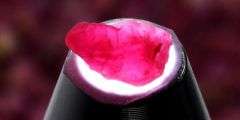 It's 101 carats of Tanzanian Ruby! And they're untreated!