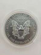 2018-W Burnished American Silver Eagle, OGP