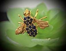 Super 18K Fly Brooch with Sapphires