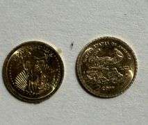 Two 14 K St Gaudens $20 Tribute Coins
