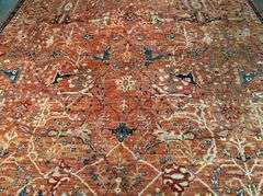 Exquisite  Fine Serapi Design  Rug 9.2x11.9