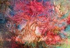 Kamran Khavarani LE Print on Premium Glossy Fine Art Paper