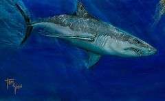 Exquisite Piece by Tom Gion