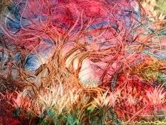 Kamran Khavarani LE Print on Premium Glossy Fine Art Paper