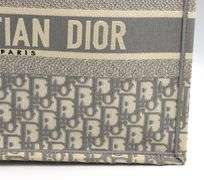 Christian Dior Canvas book tote
