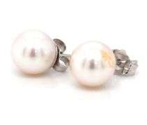 7.5-8mm Pearl stud earrings