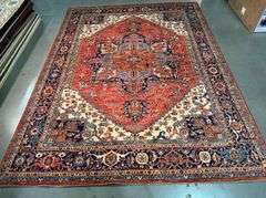 Stunning Super Serapi Rug 9x11.9