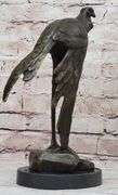 Wildlife African Bird Bronze Sculpture