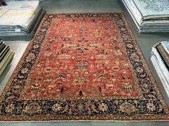 Exquisite  Fine Serapi Design  Rug 9.1x11.9
