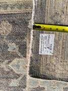 Exquisite Chobi Rug 8x10.1