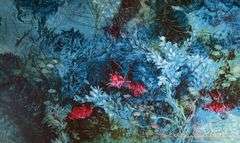 Kamran Khavarani LE Print on Premium Glossy Fine Art Paper