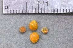 Shining Natural Opals - Lot of 4