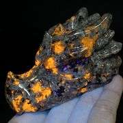 Natural Glowing Dragon Skull Hand Carved