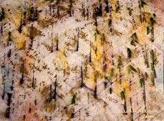 Kamran Khavarani Abstract Series Original Oil on Paper