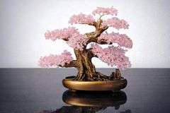 Natural Rose Quartz Crystal Bonsai Tree of Life