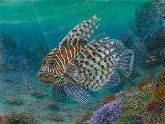 Wonderful Art by Tom Gion