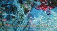 Kamran Khavarani LE Print on Premium Glossy Fine Art Paper