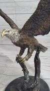 Stunning Eagle Bronze Statue