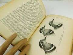 1897 Darwinism Antique Book