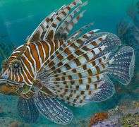 Wonderful Art by Tom Gion