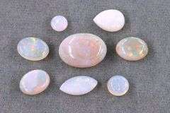 Bright, Colorful Opal Cabs - Lot of 8