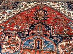 Stunning Super Serapi Rug 9x11.9