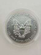 2019-W Burnished American Silver Eagle, OGP