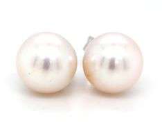 7.5-8mm Pearl stud earrings