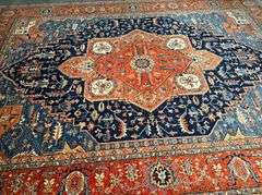 Stunning Fine Serapi Rug 10x13.9