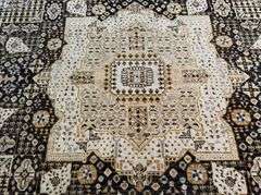 Exquisite Chobi Rug 9.1x12.3