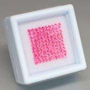 Jewelers special! 1.57ct set of diamond cut Burmese Spinels!