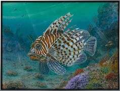 Wonderful Art by Tom Gion