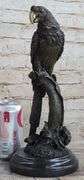 Parrot Bronze Sculpture