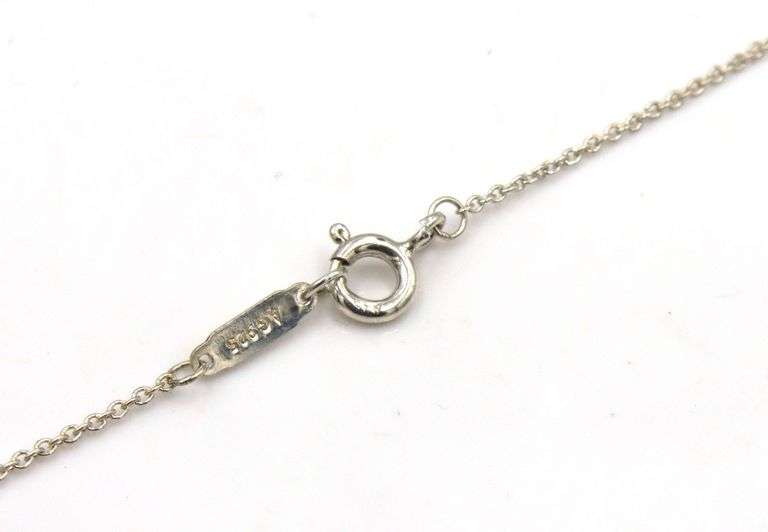 Tiffany & Co Enchant circle pendant on chain