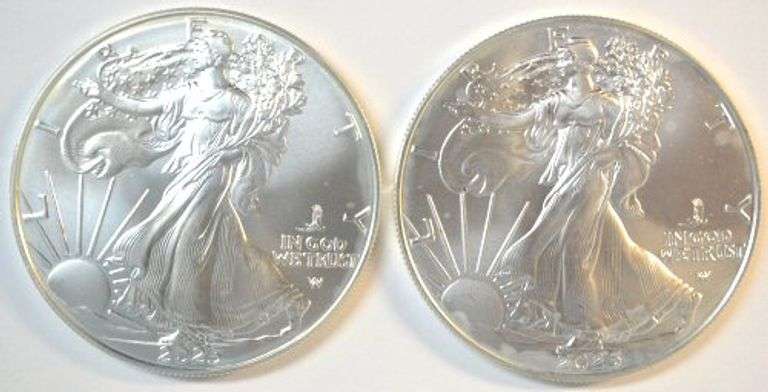 2 Pristine Superb Gem BU 2025-W $1 American Silver Eagles