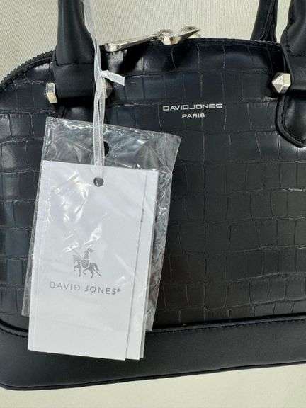 Stylish Designer Bag By David Jones-Paris