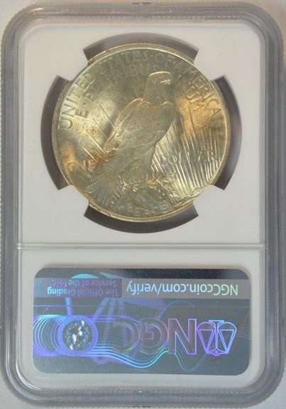 Gem BU 1923 Peace Silver Dollar. NGC MS65