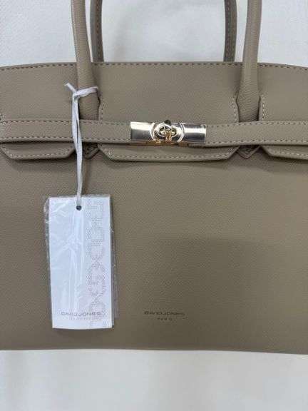 Designer Hand Bag by David Jones-Paris