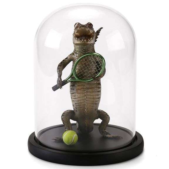 Real Alligator Playing Tennis Glass Dome Specimen