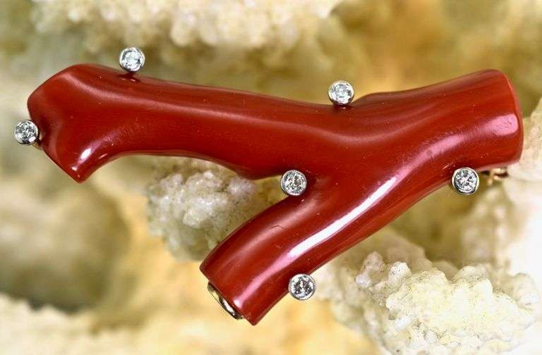 Unique 14K Ox Blood Coral and Diamond Brooch