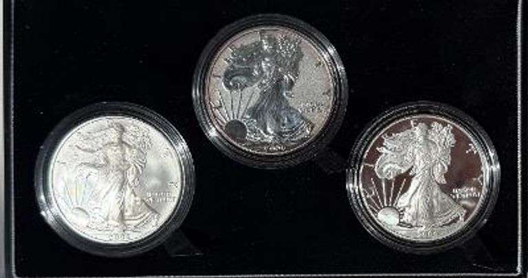 American Eagle 20 th Ann Silver Coin Set