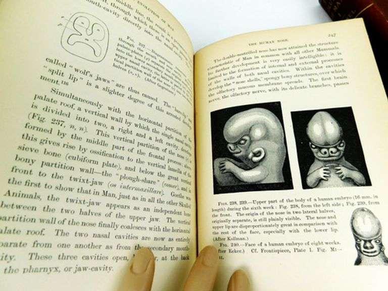 1896 Evolution of Man, 2 Volume Set