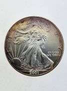 2001 American Silver Eagle, Toned