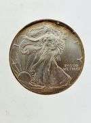 2001 American Silver Eagle