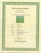 Rare Peter Max Original Mixed Media with Watercolor 'Cosmic Profile', c. 1989