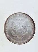 2007-W Burnished American Silver Eagle