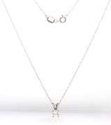 14kt White gold 0.30ct diamond solitaire pendant on chain