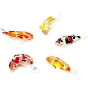 Handmade Blown Glass Koi Fish Family of 5