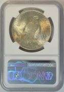 Gem BU 1923 Peace Silver Dollar. NGC MS65