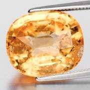 Rare! Collectors 9.90ct golden orange Grossular Garnet!